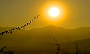 sun